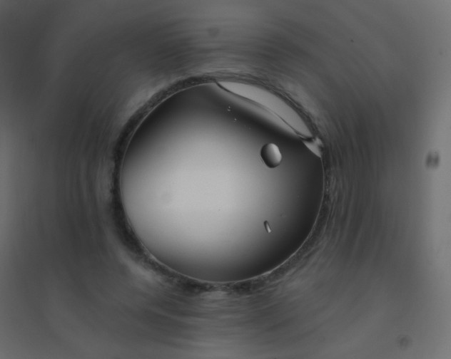 X0000094920544200712131517