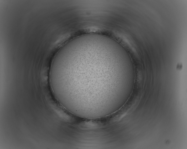 X0000094920545200712131517