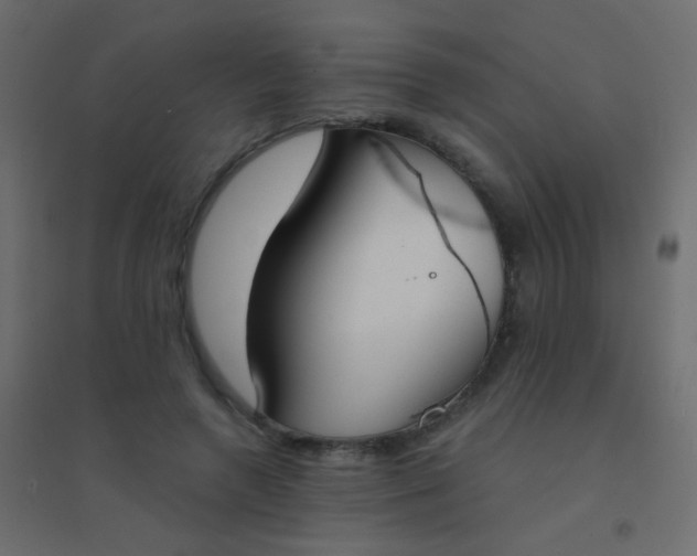 X0000094920546200712131517