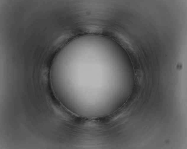 X0000094920550200712131517