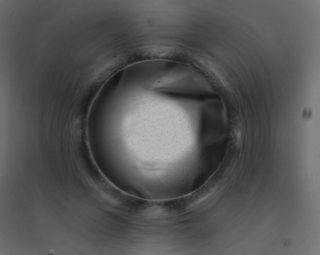 X0000094920551200712131517