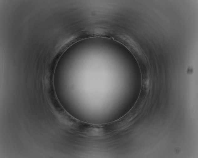 X0000094920552200712131517