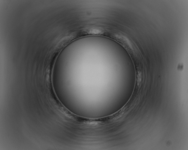 X0000094920553200712131517