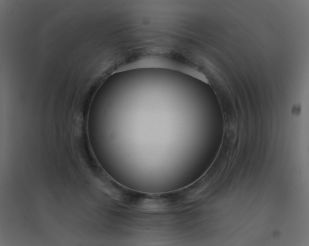 X0000094920556200712131517