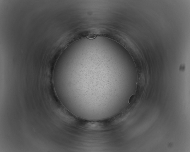 X0000094920557200712131517