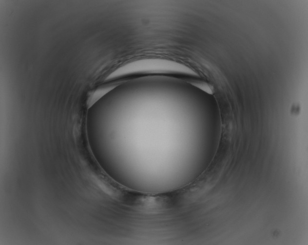 X0000094920558200712131517