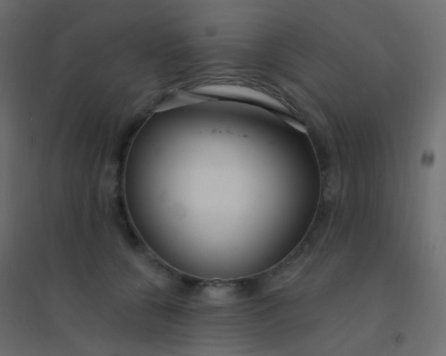 X0000094920560200712131517