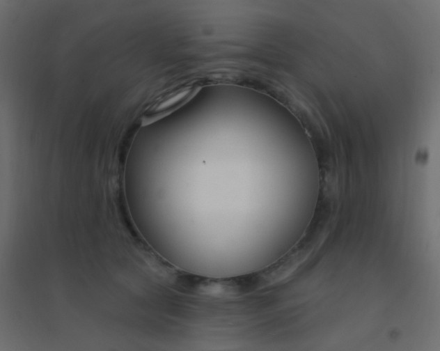 X0000094920561200712131517