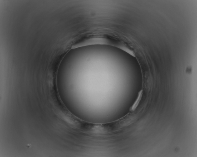 X0000094920562200712131517