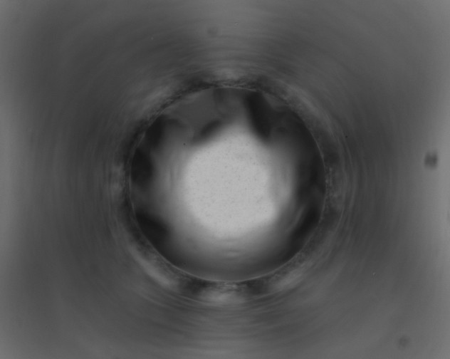 X0000094920563200712131517