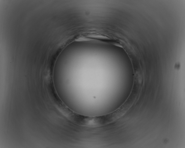 X0000094920564200712131517