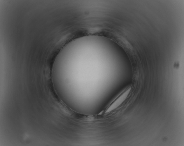 X0000094920565200712131517