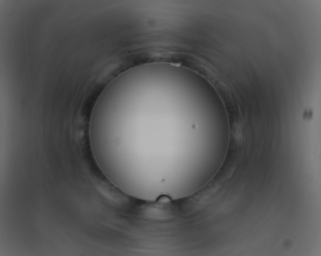 X0000094920567200712131517