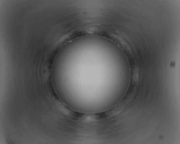 X0000094920569200712131517