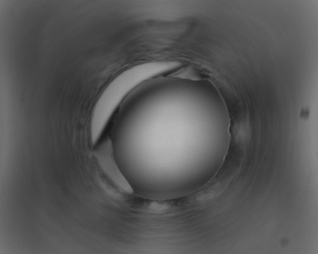 X0000094920570200712131517