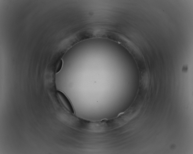 X0000094920571200712131517