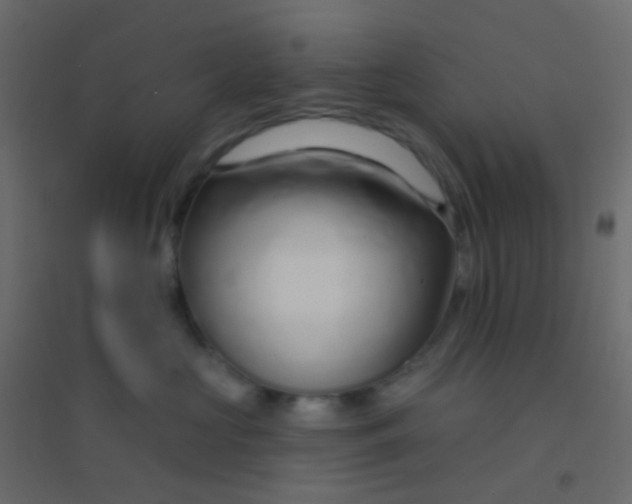 X0000094920573200712131517