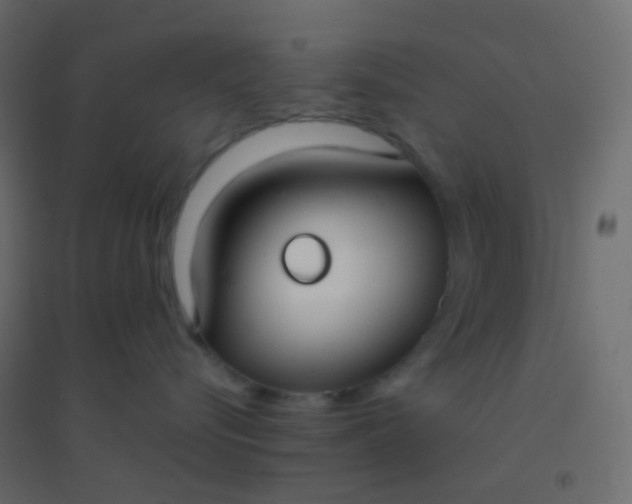 X0000094920576200712131517