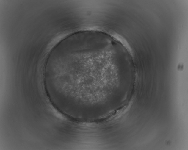 X0000094920577200712131517