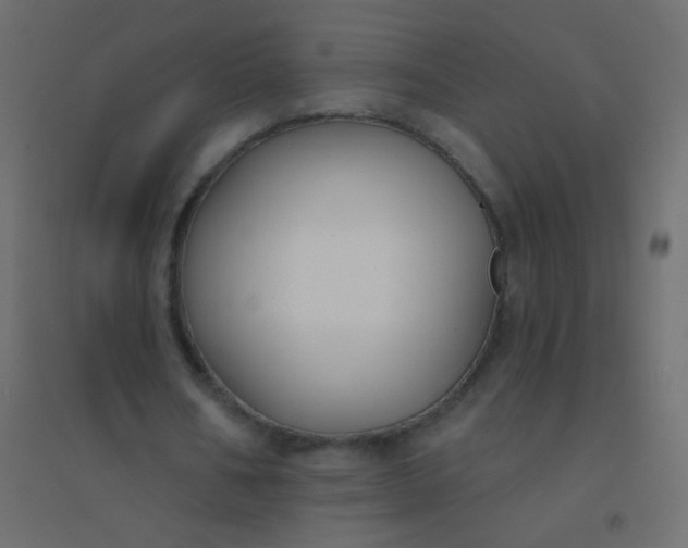 X0000094920578200712131517