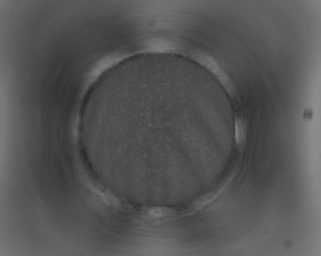 X0000094920579200712131517