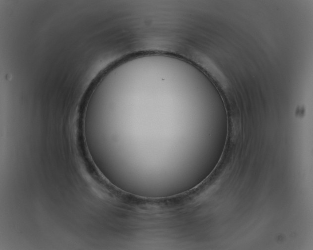 X0000094920580200712131517