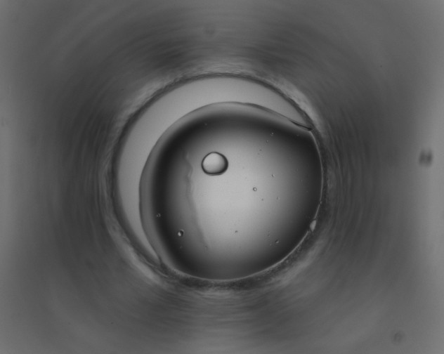 X0000094920581200712131517