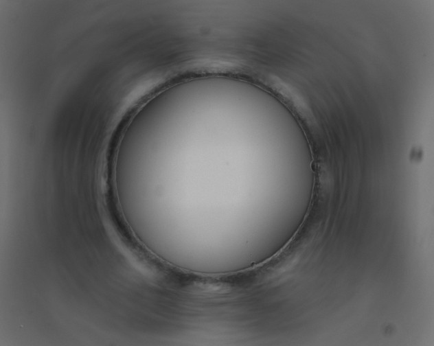 X0000094920582200712131517