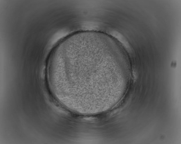 X0000094920583200712131517