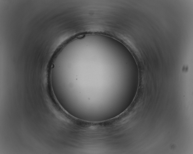 X0000094920584200712131517