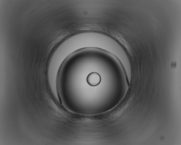 X0000094920585200712131517