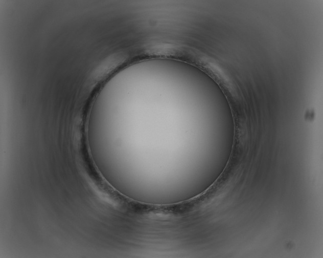 X0000094920586200712131517