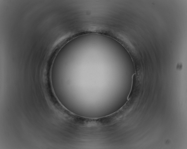 X0000094920587200712131517