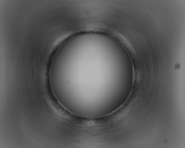 X0000094920588200712131516