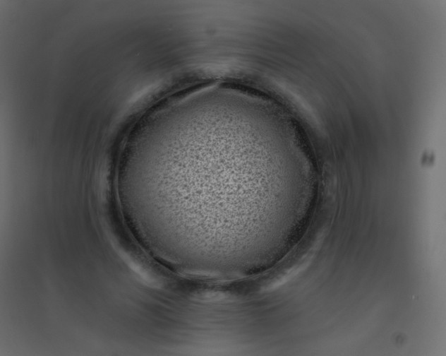 X0000094920590200712131516