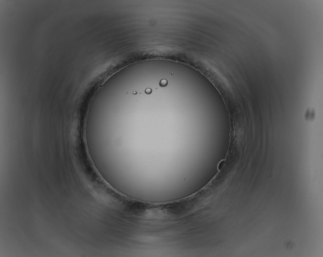 X0000094920591200712131516