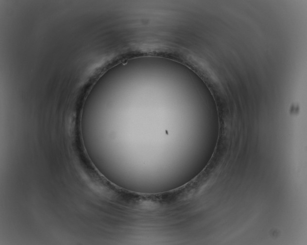 X0000094920592200712131516