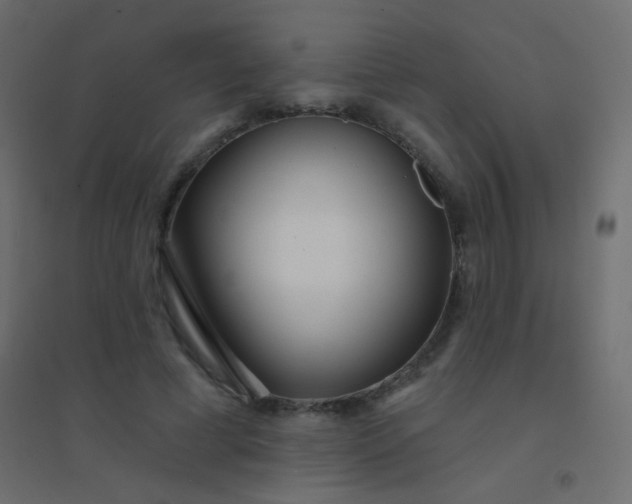 X0000094920593200712131516