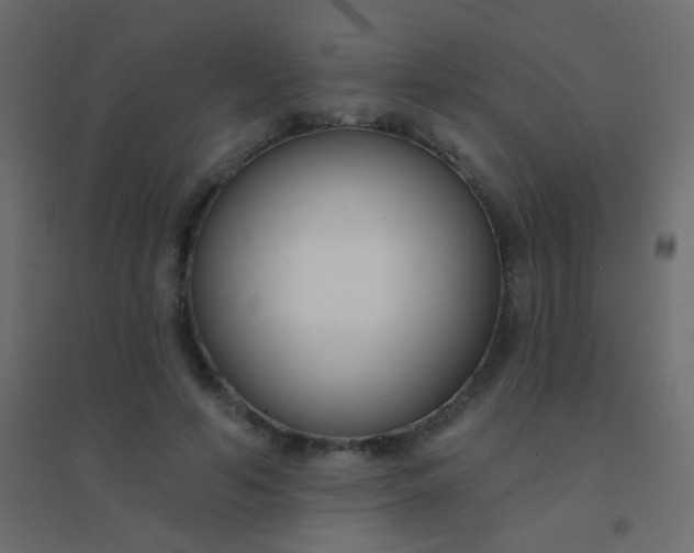 X0000094920594200712131516