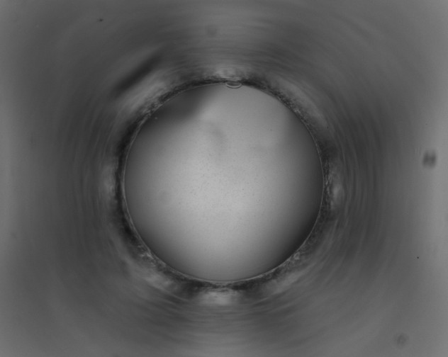 X0000094920595200712131516