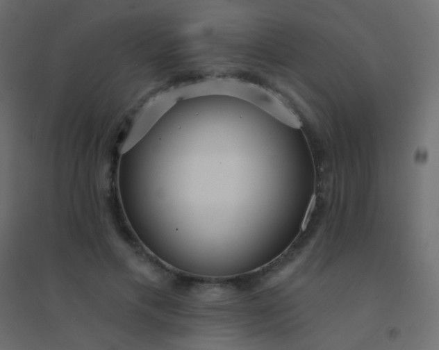 X0000094920597200712131516