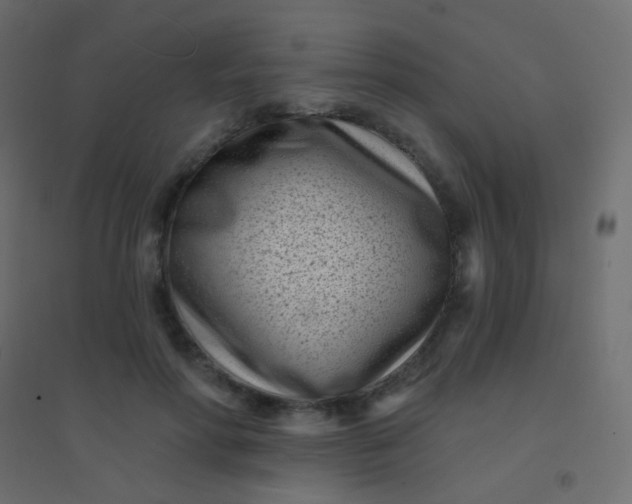 X0000094920598200712131516