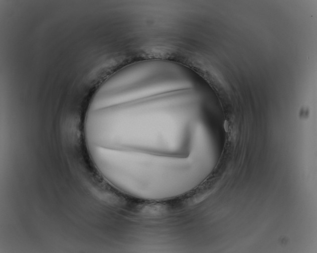 X0000094920599200712131516