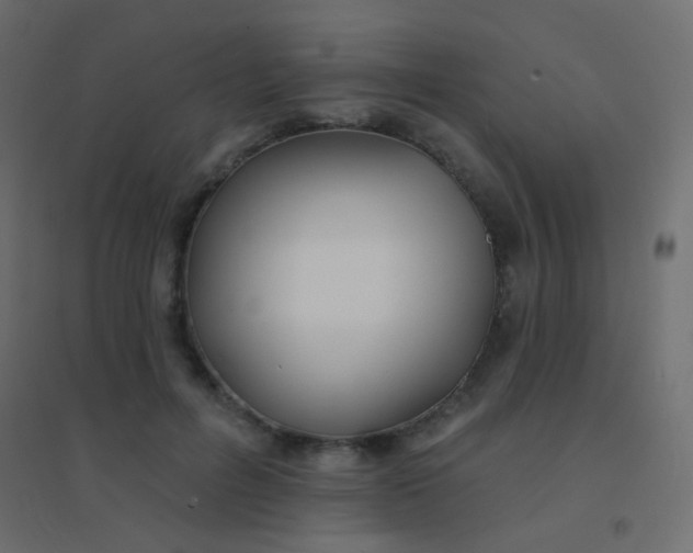 X0000094920600200712131516