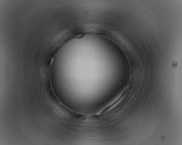 X0000094920601200712131516