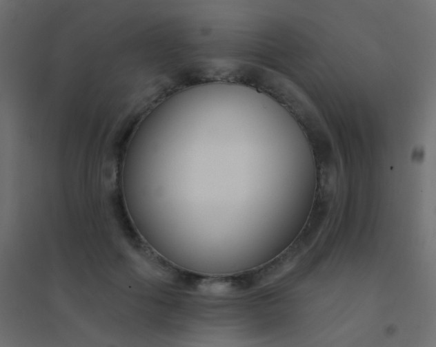 X0000094920602200712131516