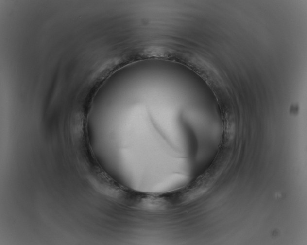 X0000094920603200712131516