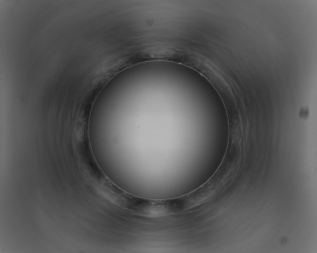 X0000094920604200712131516