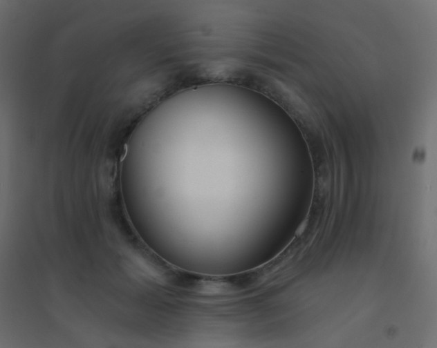 X0000094920605200712131516