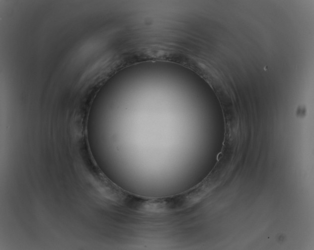 X0000094920606200712131516